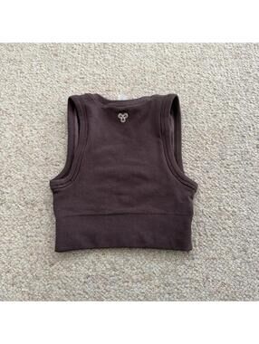 Golden by aritzia brown crop top